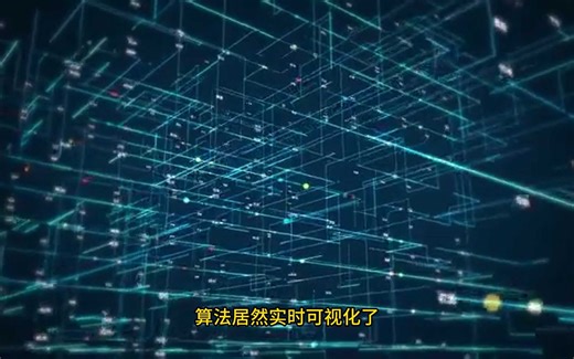 算法居然实时可视化了，边写代码边看效果