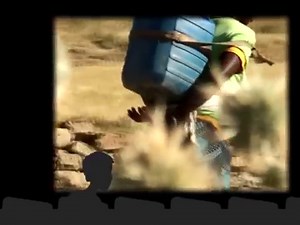 All About Water Shortages: Causes, Effects, and Solutions