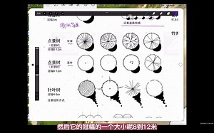 【景观考研】超详细讲解！入门级教学！！