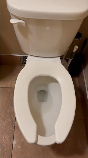 2024 Gerber Maxwell “Toilet”