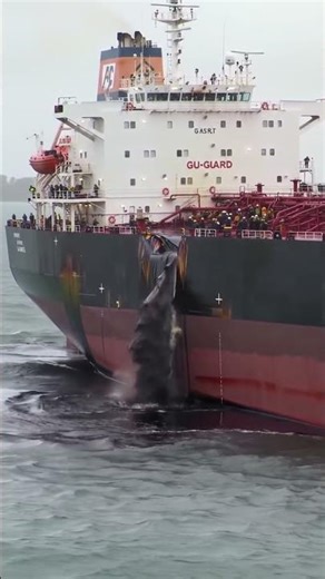 Ship collision aftermath 😱