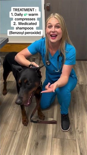 🐶👋Meet Monty A Doberman With Chin Acne