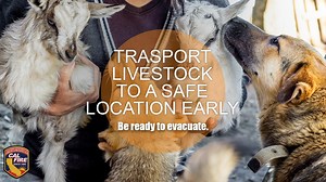 With increased fire activity leading to evacuations and road closures, it is important you and your family are prepared. Watch the video and visit readyforwildfire.org to learn how you can be #EvacuationReady | CAL FIRE