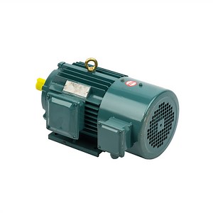 [Hot Item] Yvp Series Variable Frequency Adjustable Speed Electric Motor