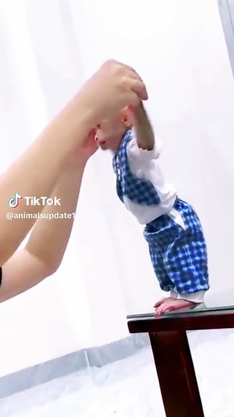 Little baby monkey playing with cute mom #monkey #videoviral #unitedkingdom #foryoupage❤️❤️