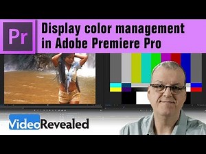 Display color management in Premiere Pro