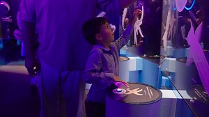 Just a short drive down to San Antonio, and you’ll discover the extraordinary new exhibition at The Witte Museum: Unseen Oceans — an under-the-sea adventure for all ages! 👨‍👩‍👧‍👦 From glowing sea creatures and massive CGI whales to hands-on submarine simulations and cutting-edge robotics, this exhibit is full of wonder. Make it a memorable day trip — explore, learn, and make waves together! #FamilyAdventure #UnseenOceans #WitteMuseum #DayTripFromAustin Sponsored by The Witte Museum | Austin 