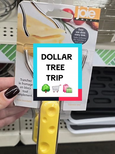 Dollar Tree Beauty Finds: Shopping Haul Guide