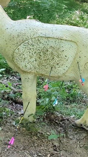 Archery Challenge With a Tricky Shot!