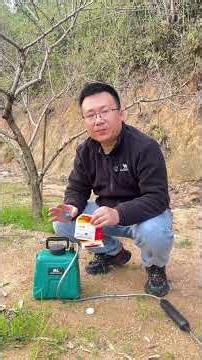 Boost Fruit Tree Bloom with Foliar Fertilizer: Before & After Transformation