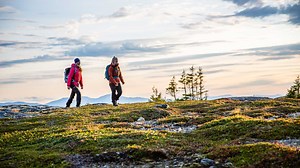 Vandra i Åre - Allt du behöver veta hittar du här – Åre Sweden