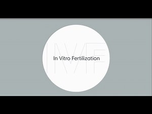 What is in vitro fertilization (IVF)?