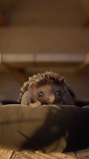 Corridor Digital on Instagram: "璉⛈️‍ - also, it doesn’t loop! Forgot about that rule  I hereby split my tiara into three pieces and divide them among  @sirwrender  @vfxwithjordan &  @f_e_n_n_e_r"