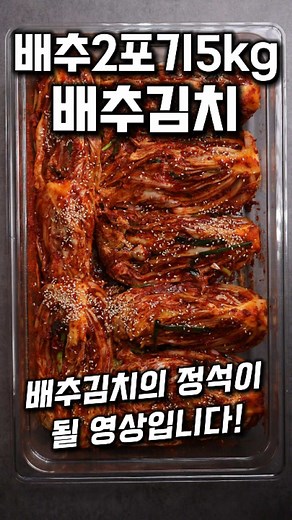 두 포기 배추김치 만드는 법