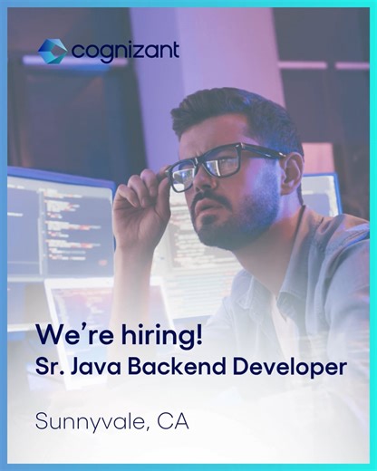 Sr. Java backend developer