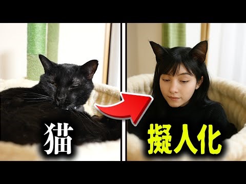 [Hot topic on the internet!] We tried anthropomorphizing pets! [ChatGPT]