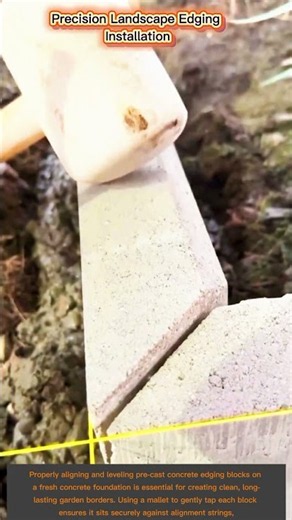 DIY Precision Landscape Edging Tutorial for Beginners