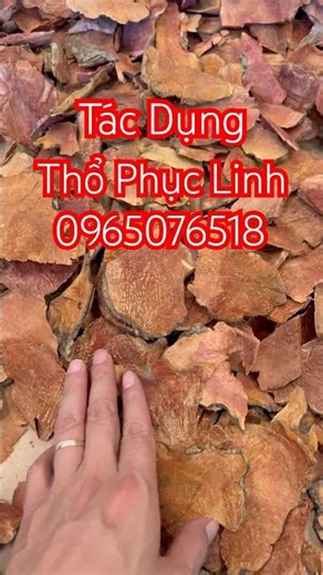 What are the uses of Smilax glabra? What are the uses of Smilax glabra root? What diseases does S...