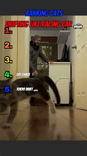 Ranking the most Wildest cat drifts 🏆🐱 #funny #cat #shorts