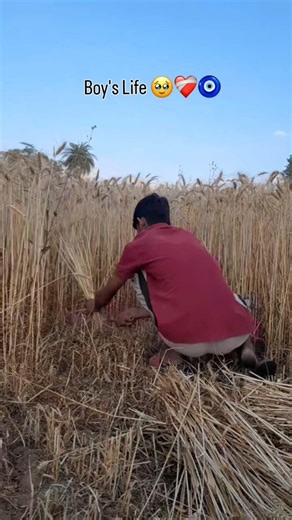 Boy's life 🥹👍 #shorts #youtubeshorts #vlog #ytshorts