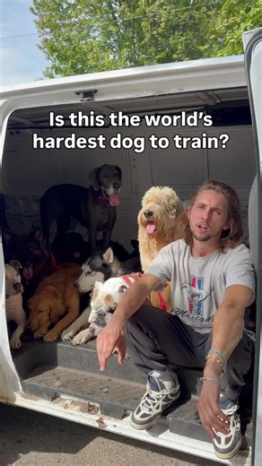 Stop Over-Babying Your Dog: Essential Training Tips