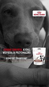 Twój pies zasługuje na coś więcej niż smaczną nagrodę. Royal Canin®...