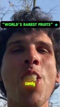 7 Rarest Fruits You’ll Never Believe Exist 🍇🌍
