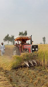 Rice Cutter machine with Reaper #fbreelsfypシ゚viralシ #reelschallenge #traditionalpunjab #shortvideo #villagelife #farming #shorts #viralreels #village | Traditional Punjab