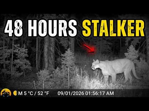 48 Hours: Nobody Was Around | Trail Cam Secrets