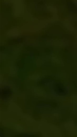 wendu (@wendu627)’s videos with som original - Capcut templates