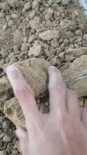 Brown Mud Sand Texture Crushing | Satisfying ASMR Short”