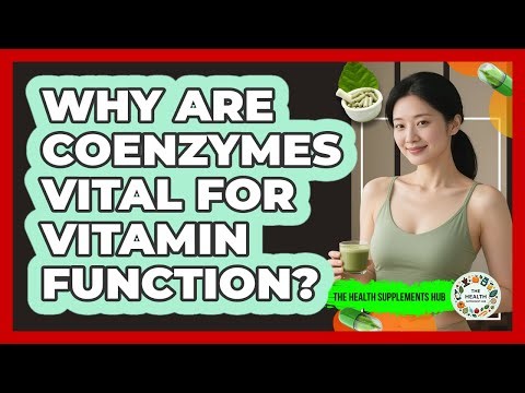 Why Are Coenzymes Vital For Vitamin Function? - The Health Supplement Hub