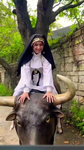 TORERA ESPECIAL #humor #animalesmaravillosos #paisajesextremos #burger #animals #buenapesca #