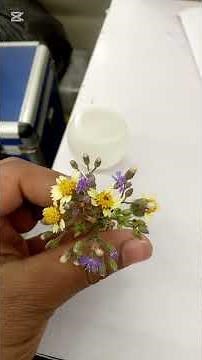 How I Made a Paperweight | DIY