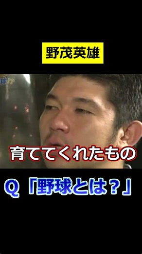 Professional Baseball Q. What is baseball?