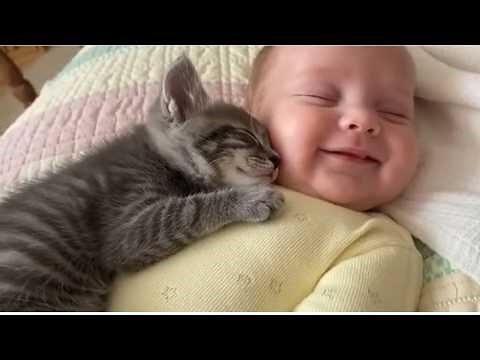 Baby & Kitten Sleeping Together 😴😻 | Cutest Wholesome Moments Compilation