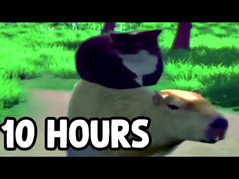 Maxwell The Cat and Capybara 10 Hours