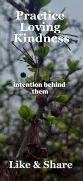 Loving Kindness for You