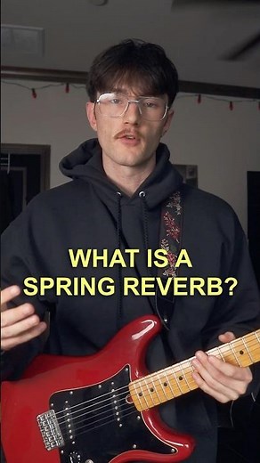 What is a spring reverb?… #guitar #guitartalk #guitarist #musicgear #springreverb