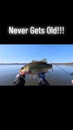 This Will Never Get Old!!! #bassfishing #fishing
