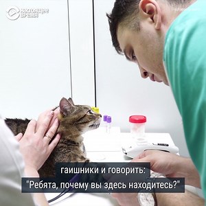 10K reactions · 3.7K shares | “Ненавидят. Зависть. Не каждому же дядя...