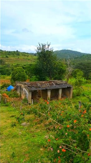 attapadi scenic views#travel #villagevlogs #villagelife #village #scenicviews #scenicbeauty #asmr#
