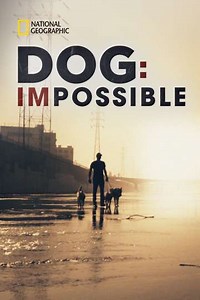 Dog: Impossible (2019-2021) - TV Show