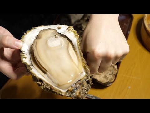 [Solo BBQ] Grilling Monster-Size Iwagaki Oysters that I Found at the Fish Market!