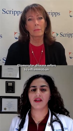 Glomerular disease affects the kidneys' filtering units and can lead to inflammation or scarring that makes it harder to remove waste and excess fluid. Zhabiz Solhjou, MD, a nephrologist at Scripps Clinic, breaks down the causes, symptoms, diagnosis and treatment. Dr. Solhjou also explains who’s most at risk, the difference between primary and secondary glomerular disease and how the Scripps glomerular disease clinic helps protect kidney function. | Scripps Health