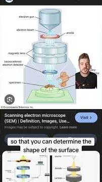 Did you know there's more than 1 type of #electronmicroscope#microscope #science #funfacts #physics