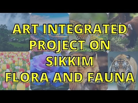 Art integrated project on Sikkim | Flora and Fauna | Science project | Class 6 to 12