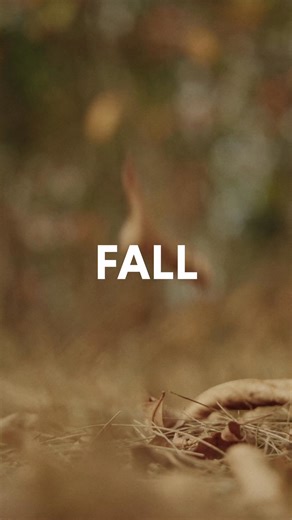 20 seconds, four seasons, endless moments. A city that shows up every time. 🏙️✨ From quiet mornings to big nights, this is Saskatoon through 2025. #saskatooning | Discover Saskatoon