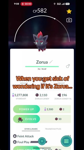 Not today Zorua 🤣🤣 #zorua #pokemoncommunity #pokemongo #pokemontiktok #foryoupage