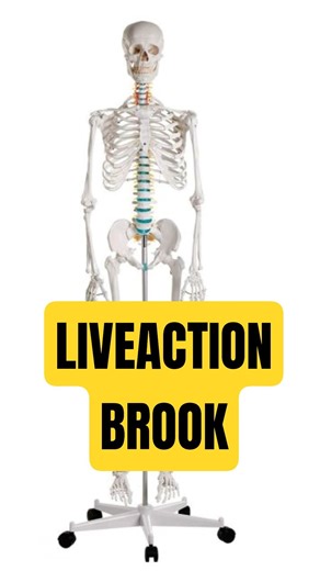 Imagine Netflix Does This 😂 [Liveaction Brook]